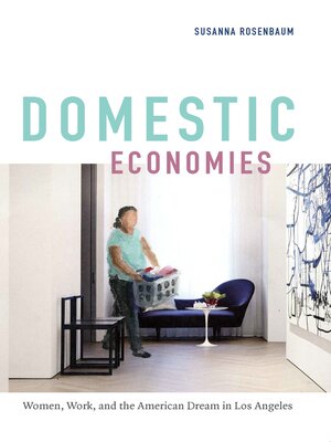 cover image of Domestic Economies